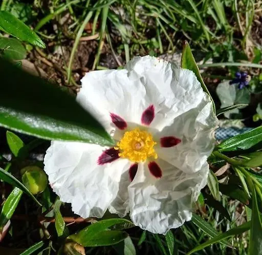 La Poste Semesterbostad